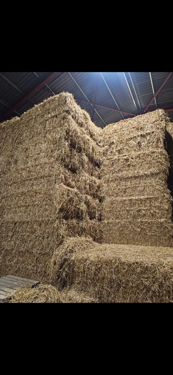 8x4x3 straw
