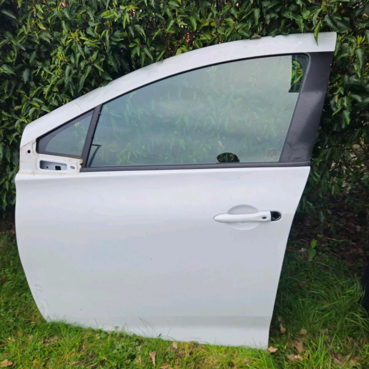 Renault Zoe Front Passenger Side Door
