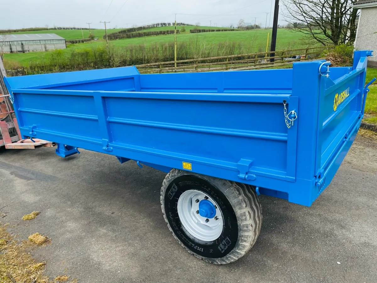 Tipping trailer - Image 3