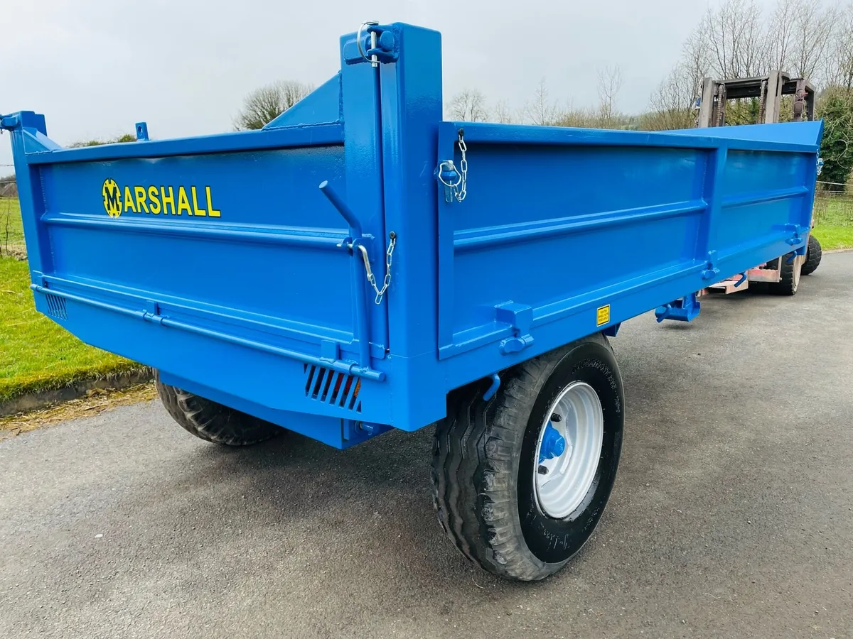 Tipping trailer - Image 4