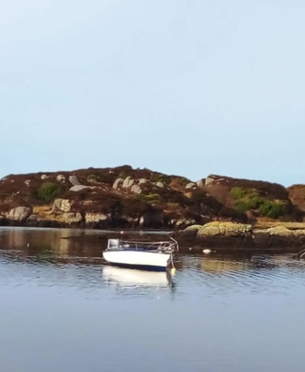 14ft Fiberglass Boat - Image 2