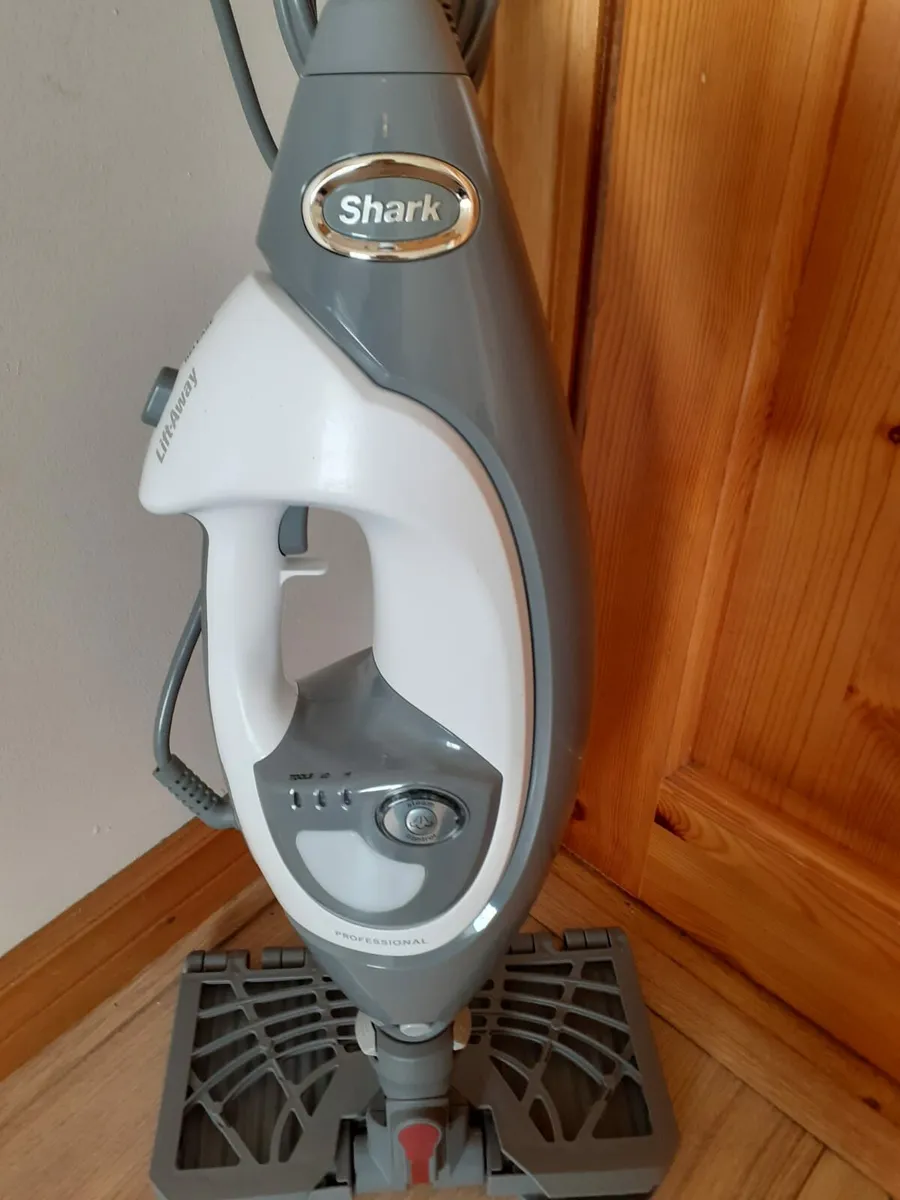 steam cleaner - Image 1