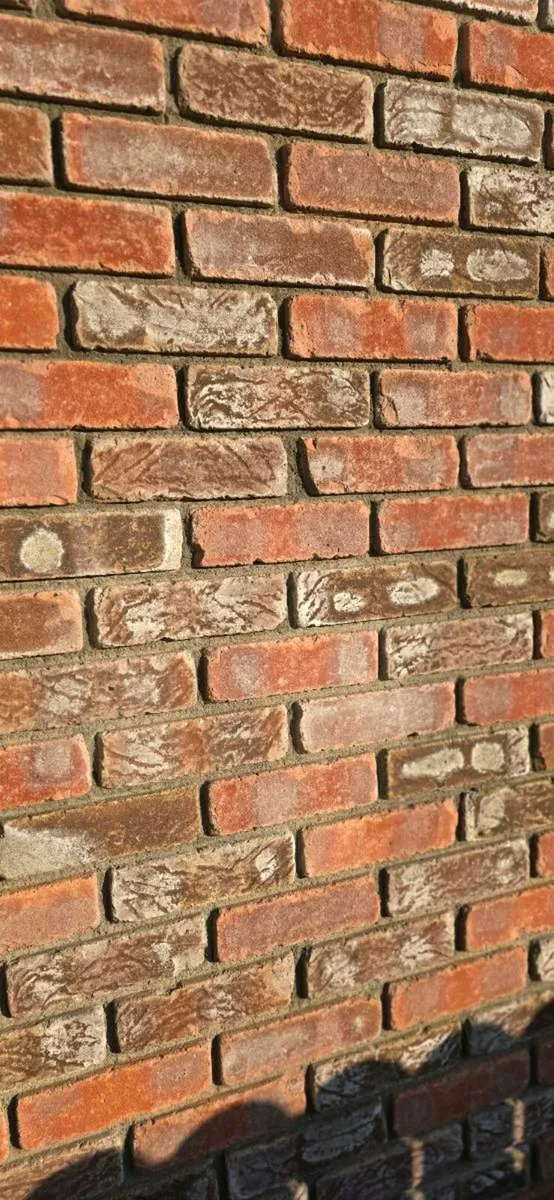 Northumberland dark blend brick - Image 3