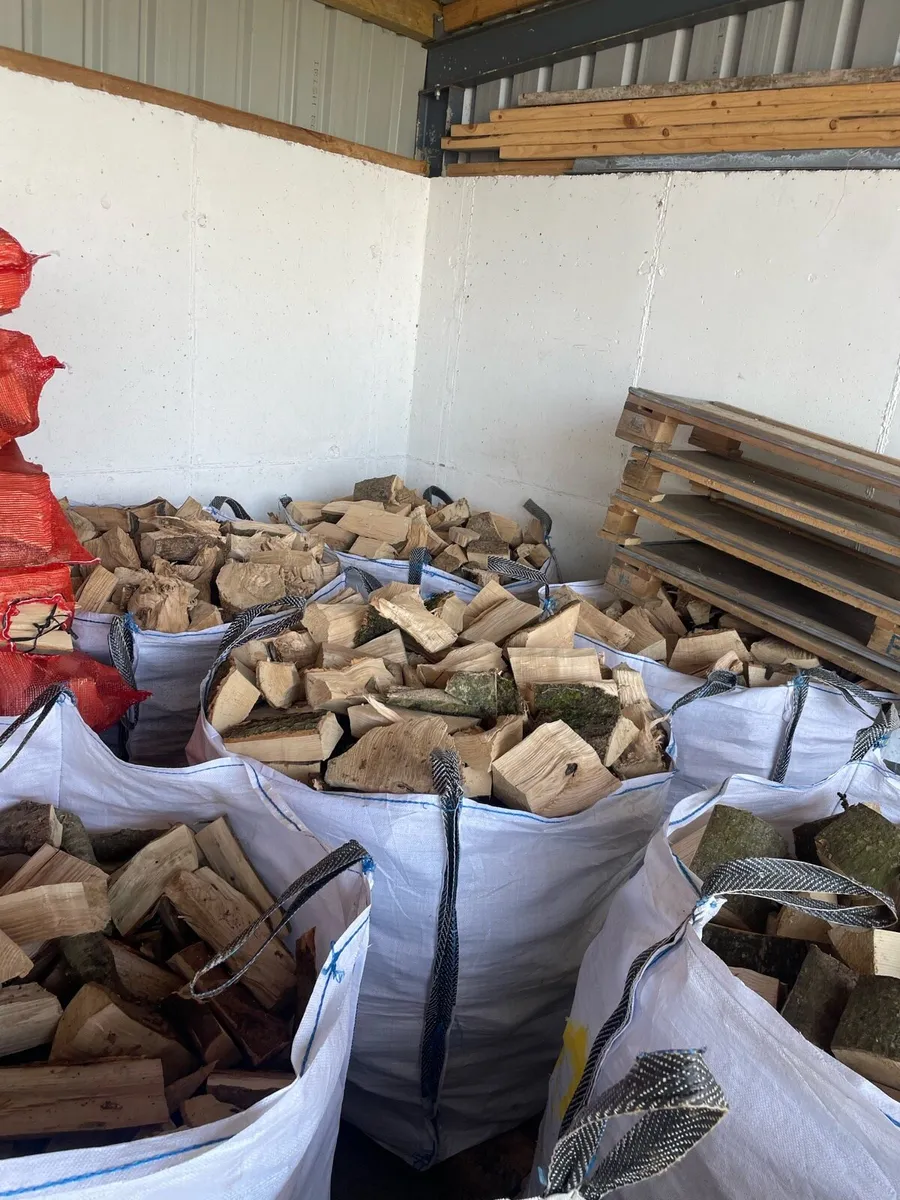 Timber - Firewood - Image 2