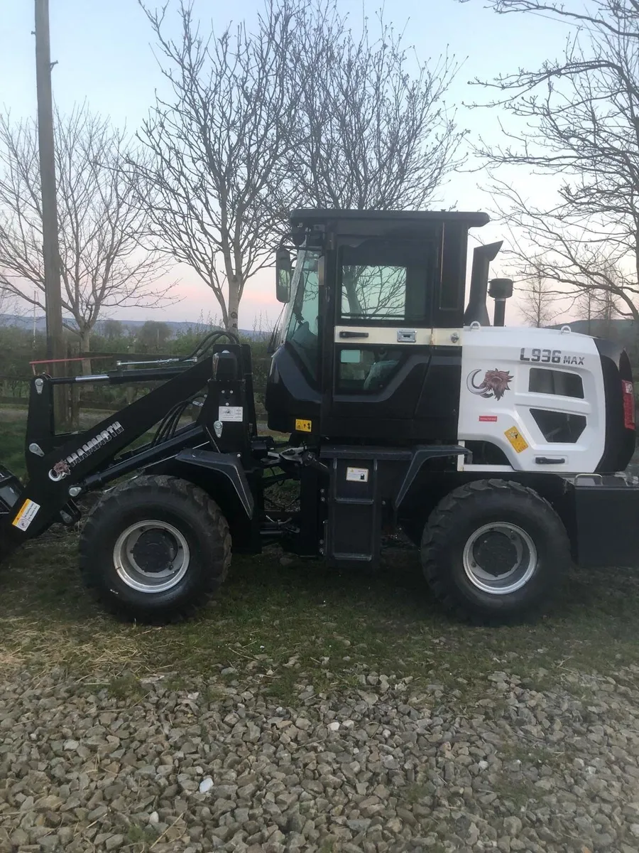 Loader - Image 1