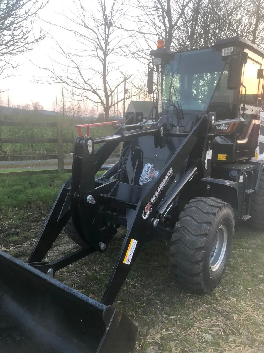 Loader - Image 4