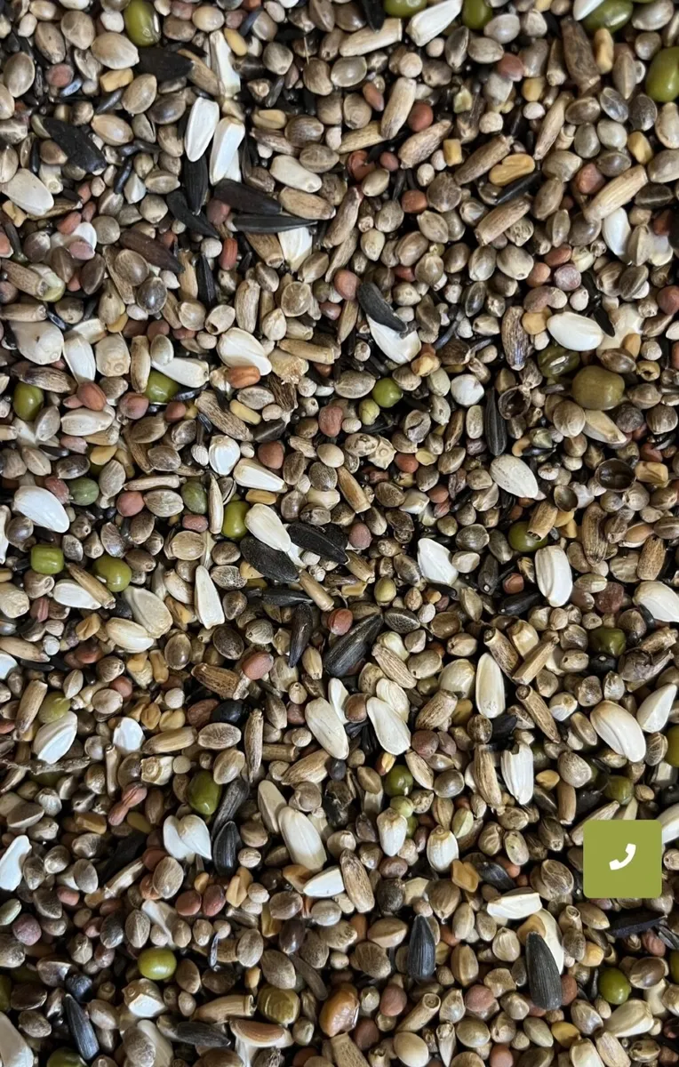 Bird seed and accessories - Image 2