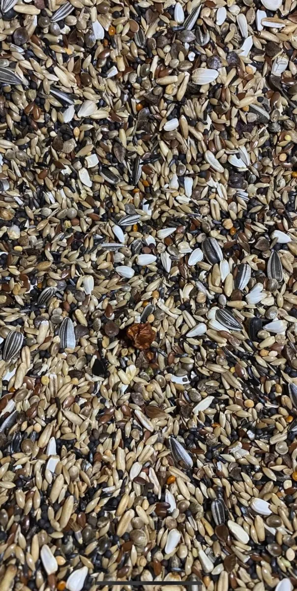 Bird seed and accessories - Image 3