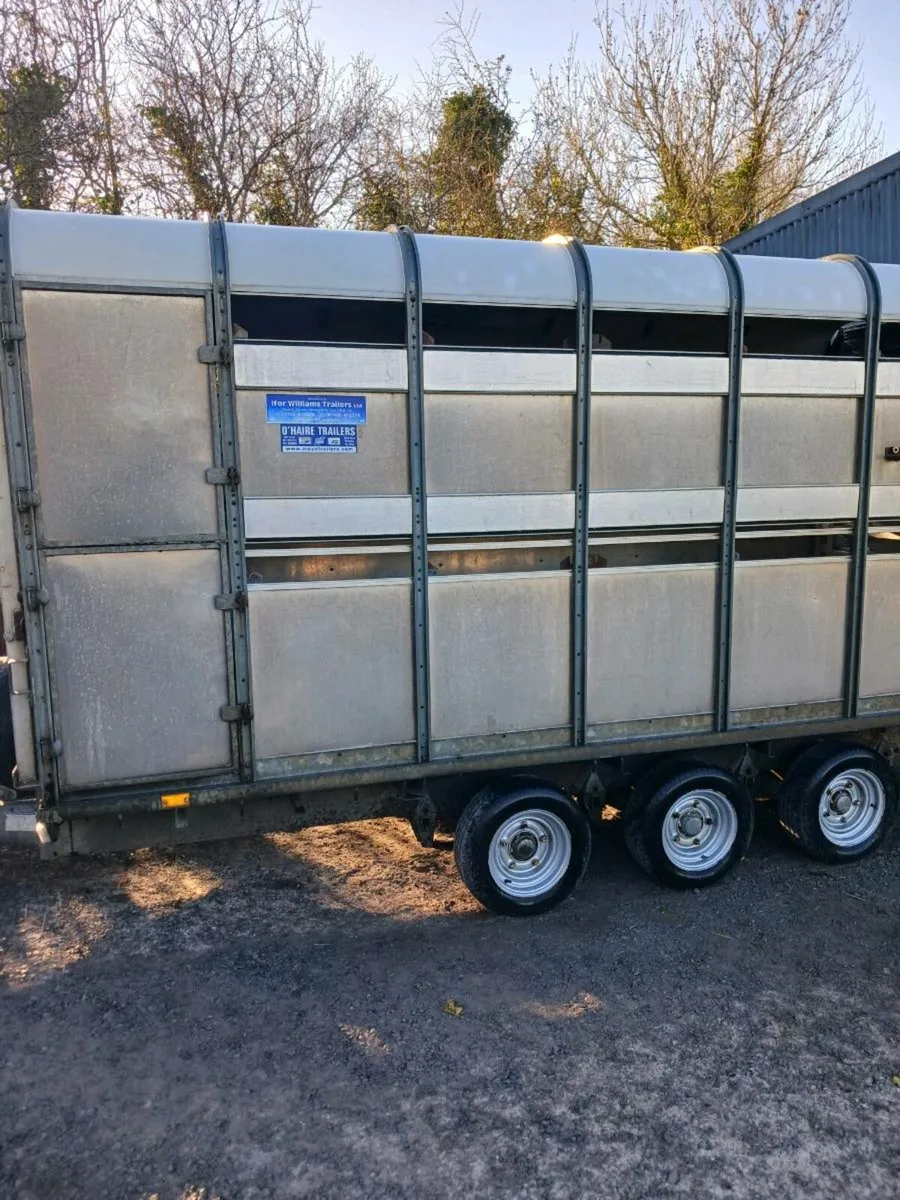 Ifor Williams tralier - Image 1
