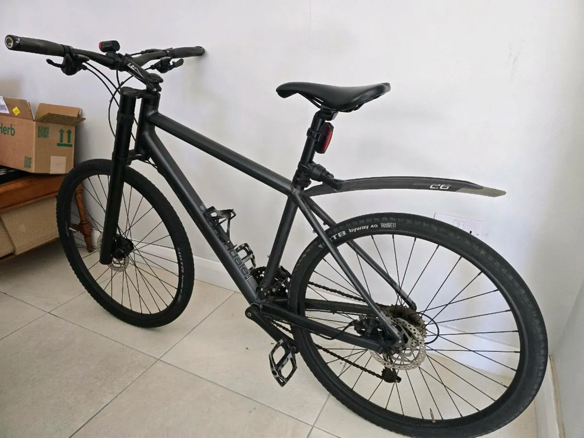 Cannondale Bad Boy, lefty - Image 2