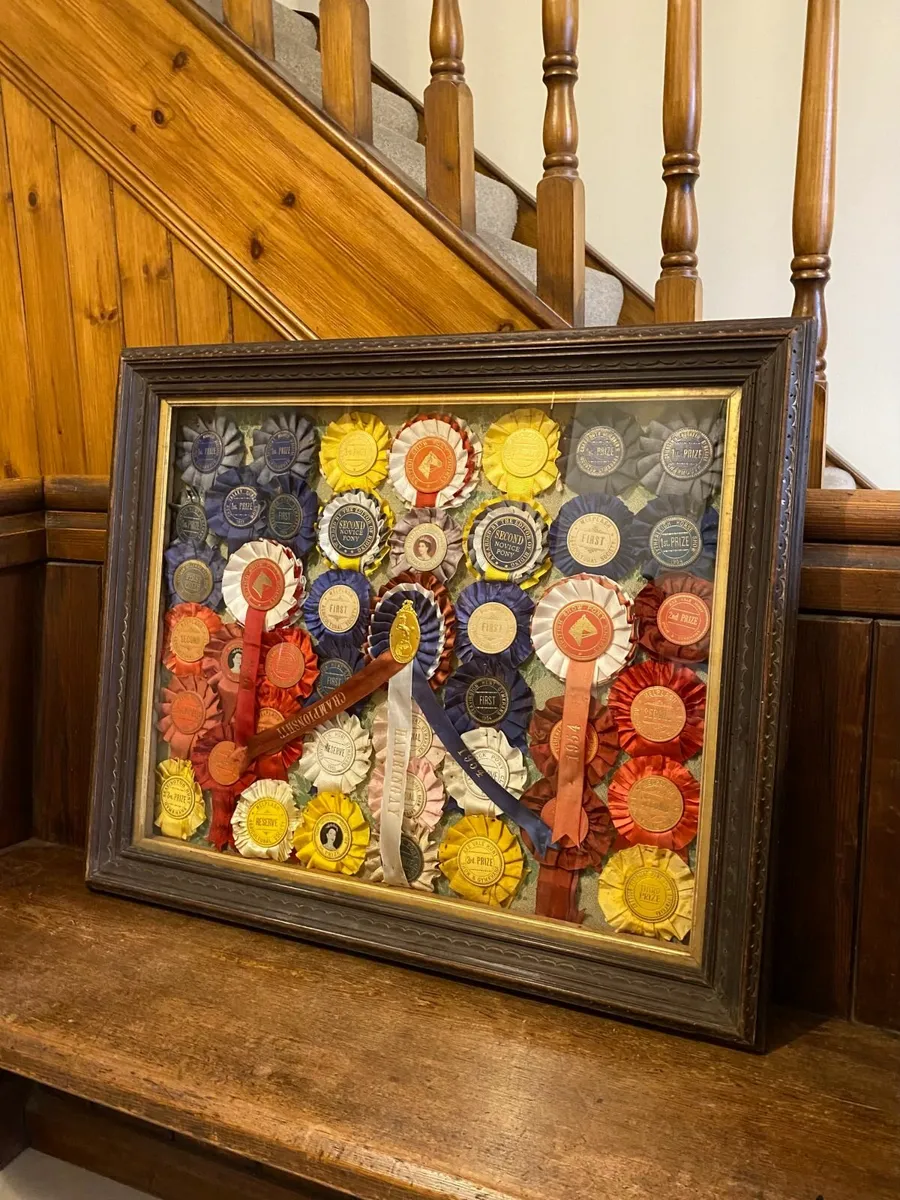 1950s U.K Horse Show Rosettes Framed, 30 inch x 24 - Image 3