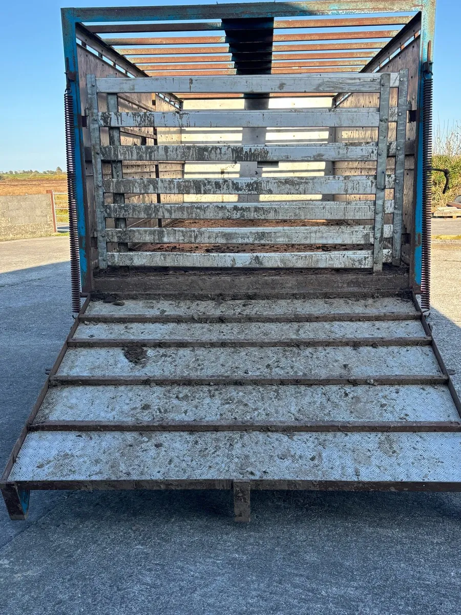 20ft Cattle Trailer - Image 3