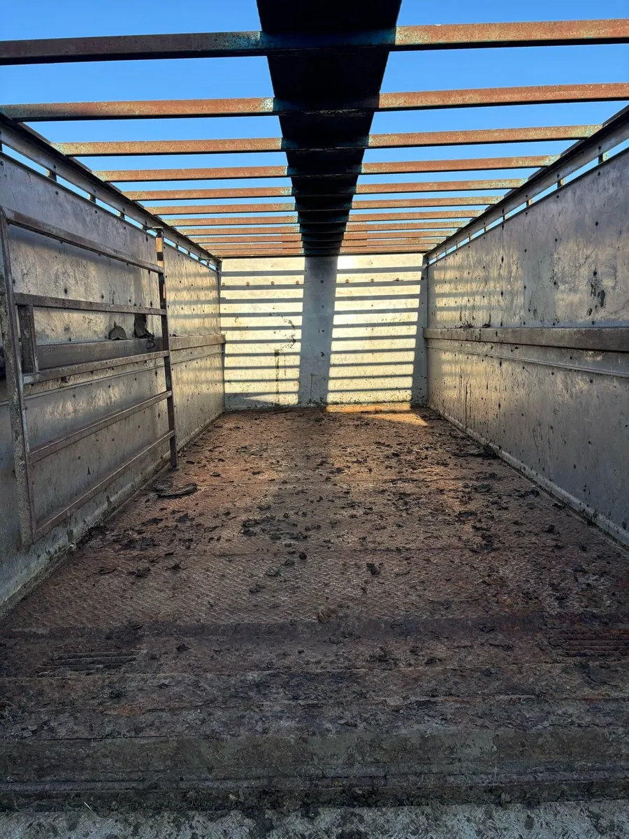 20ft Cattle Trailer - Image 4