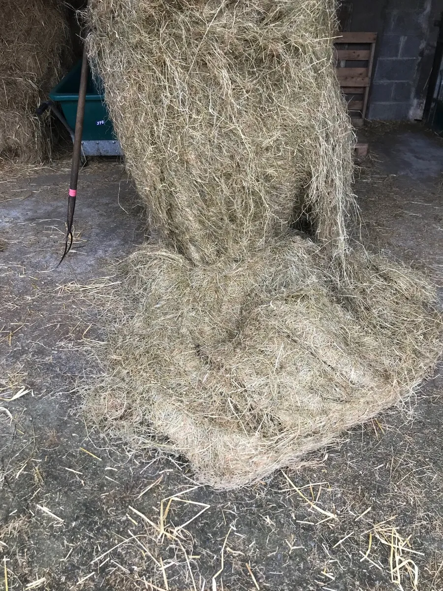 Haylage - Image 3