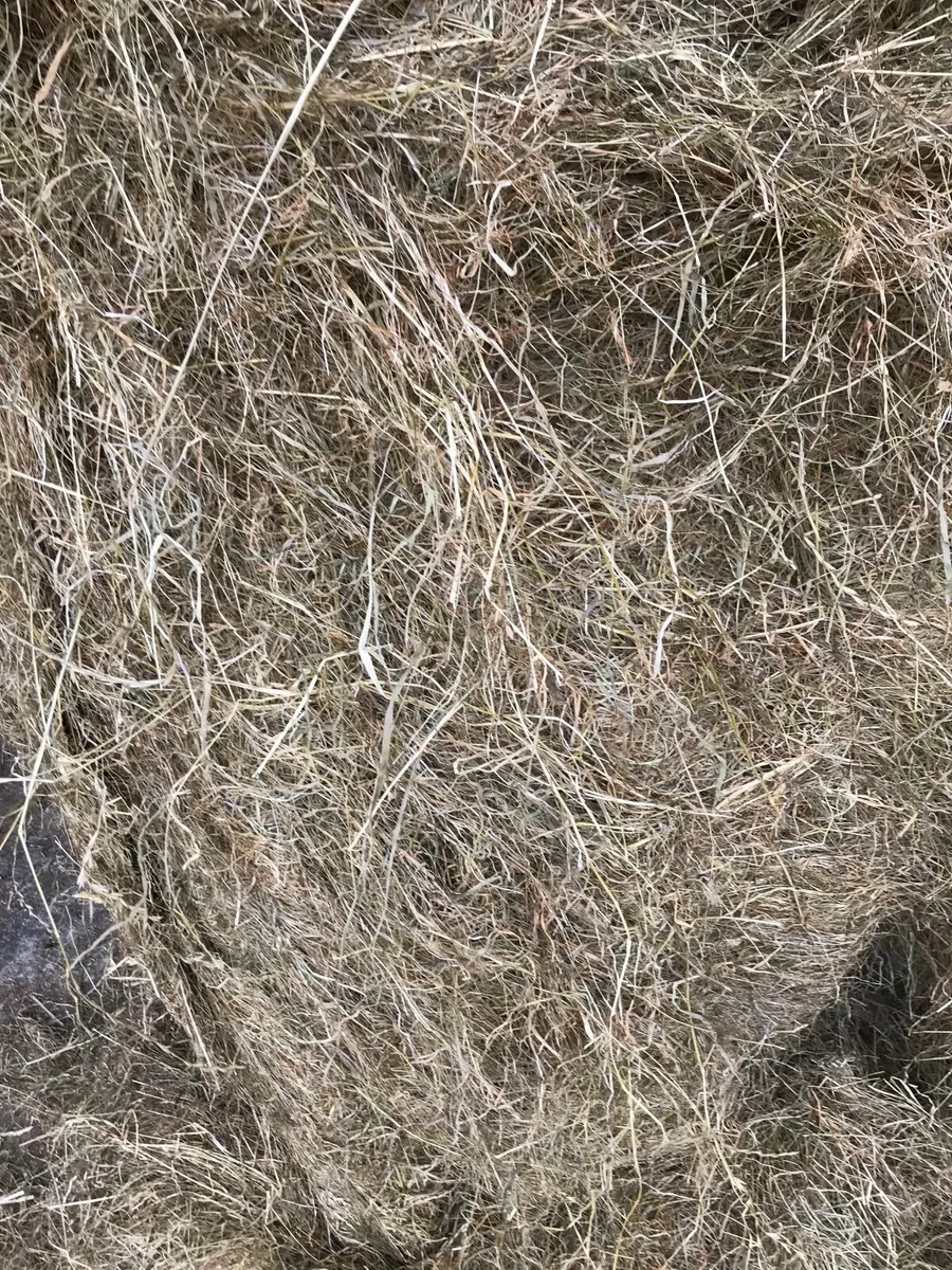 Haylage - Image 1