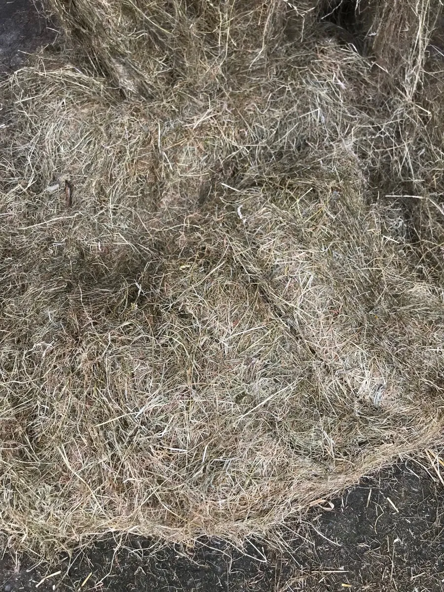 Haylage - Image 2