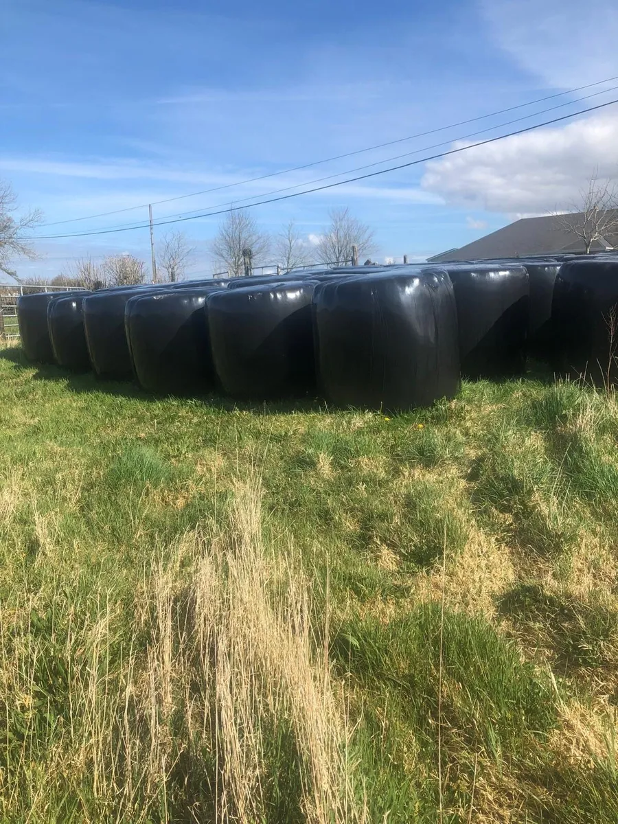 Silage