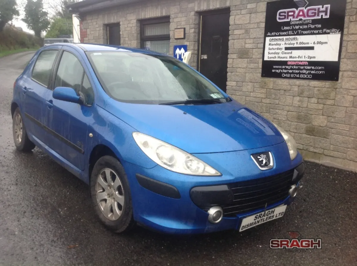 Peugeot 206/207/208/307/308/508 collection - Image 2