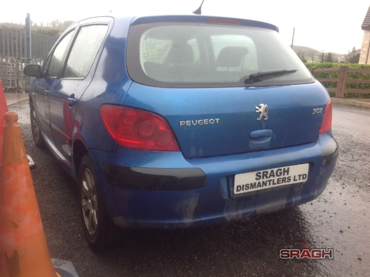 Peugeot 206/207/208/307/308/508 collection - Image 3