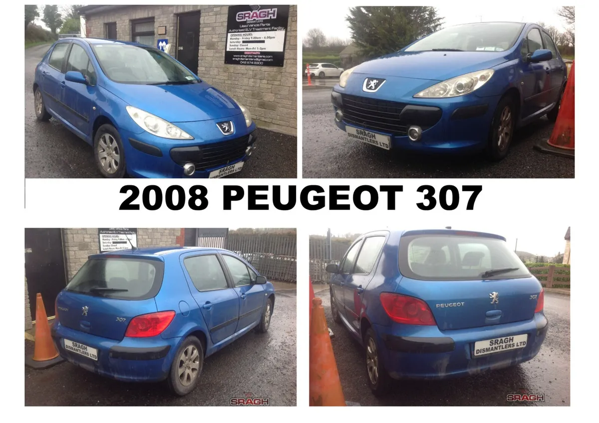 Peugeot 206/207/208/307/308/508 collection - Image 1