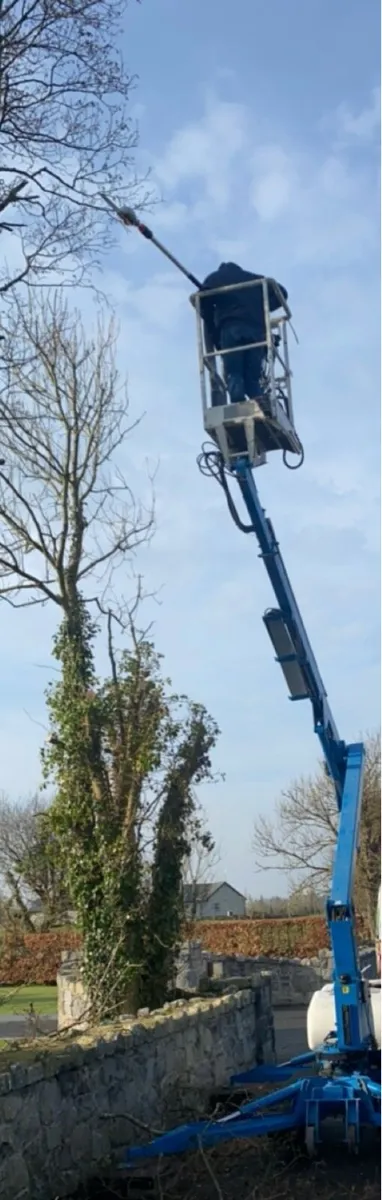 Chainsaw work/Tree felling/hedge trimming - Image 4