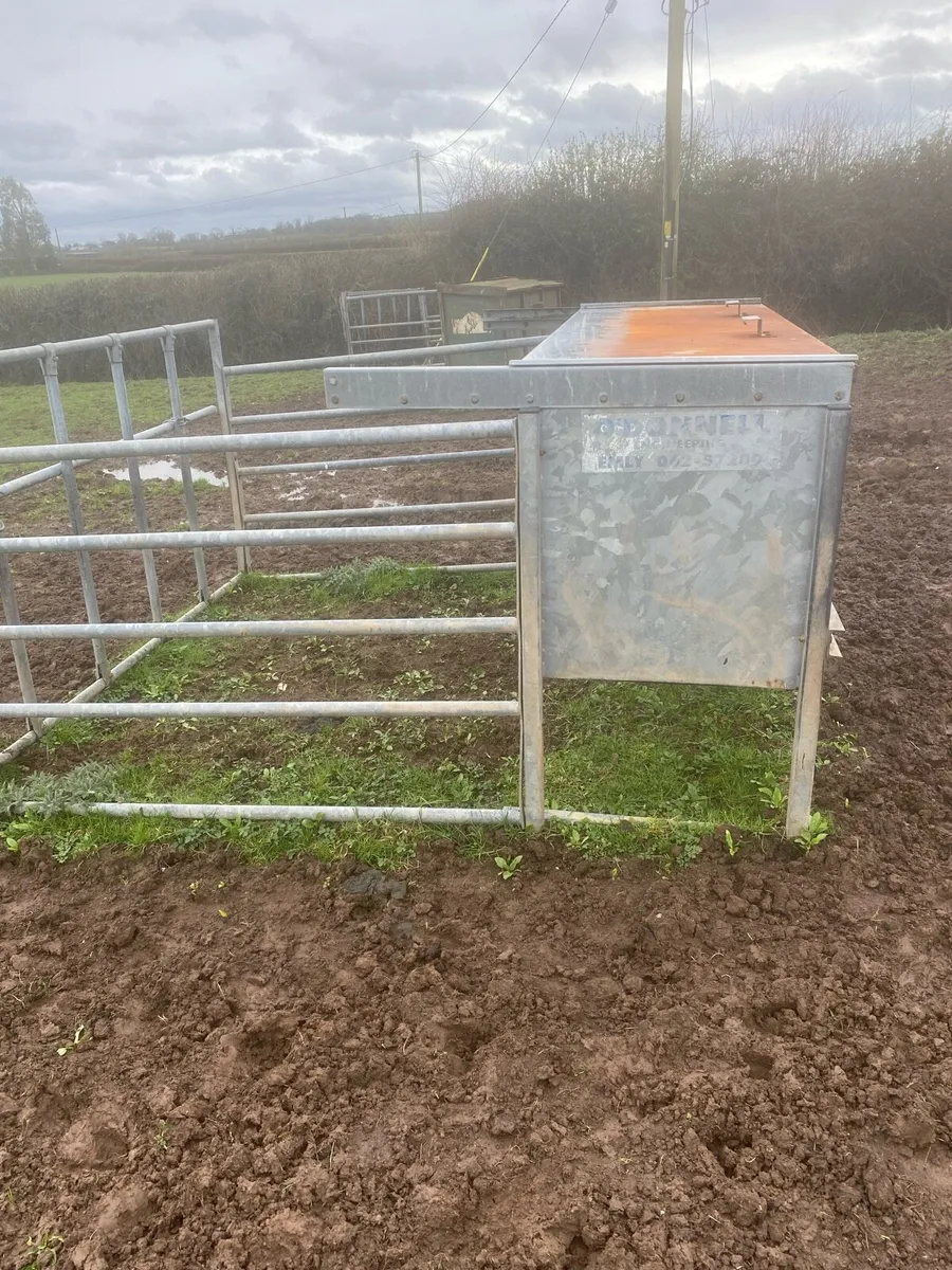 Calves creep feeder - Image 2