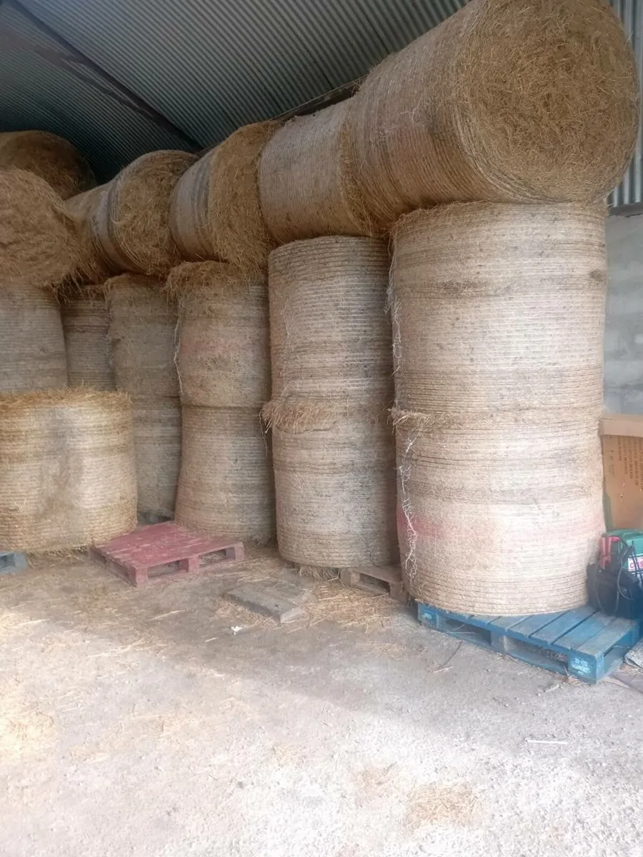 Organic Hay - Image 2