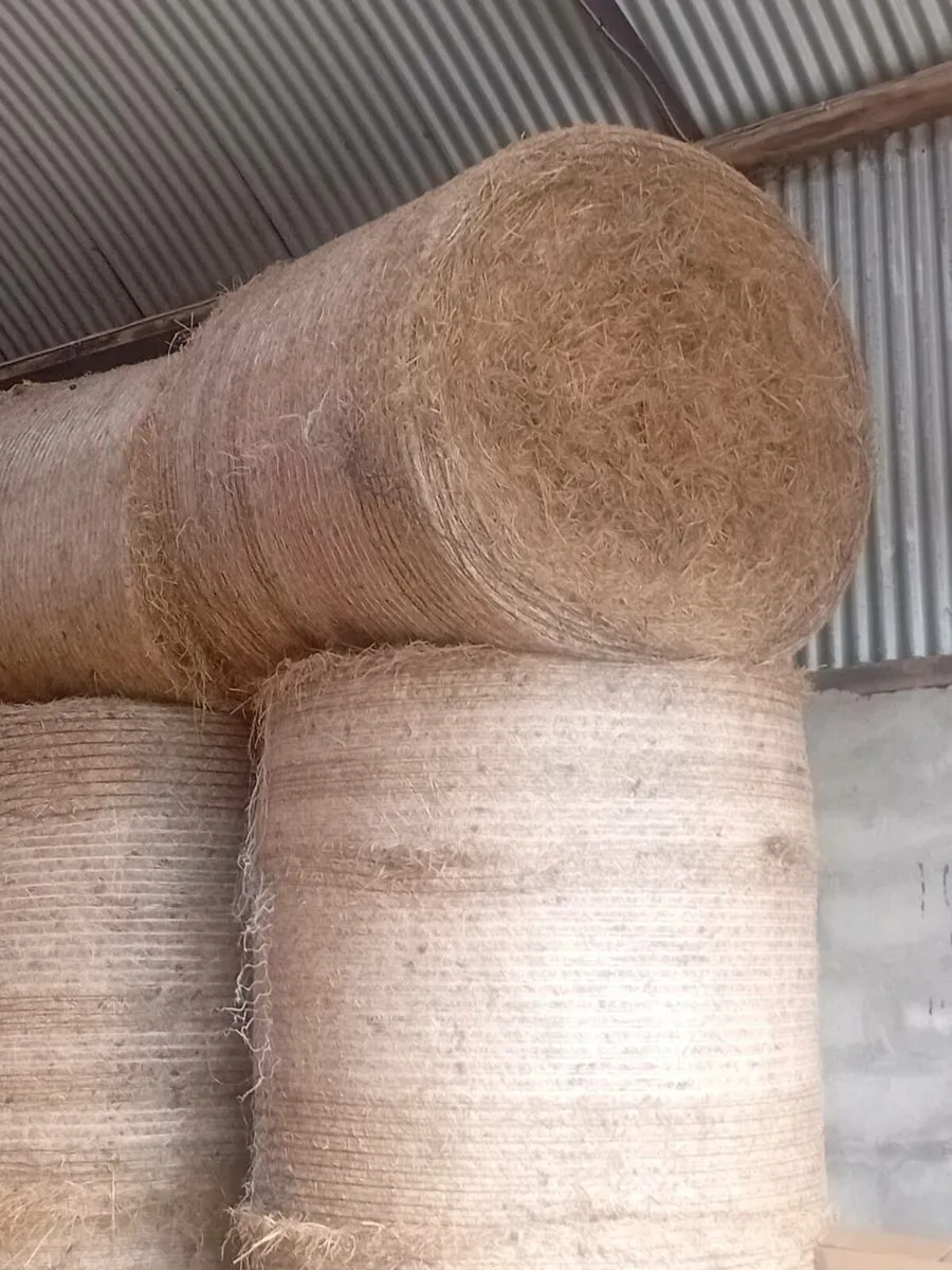 Organic Hay - Image 1