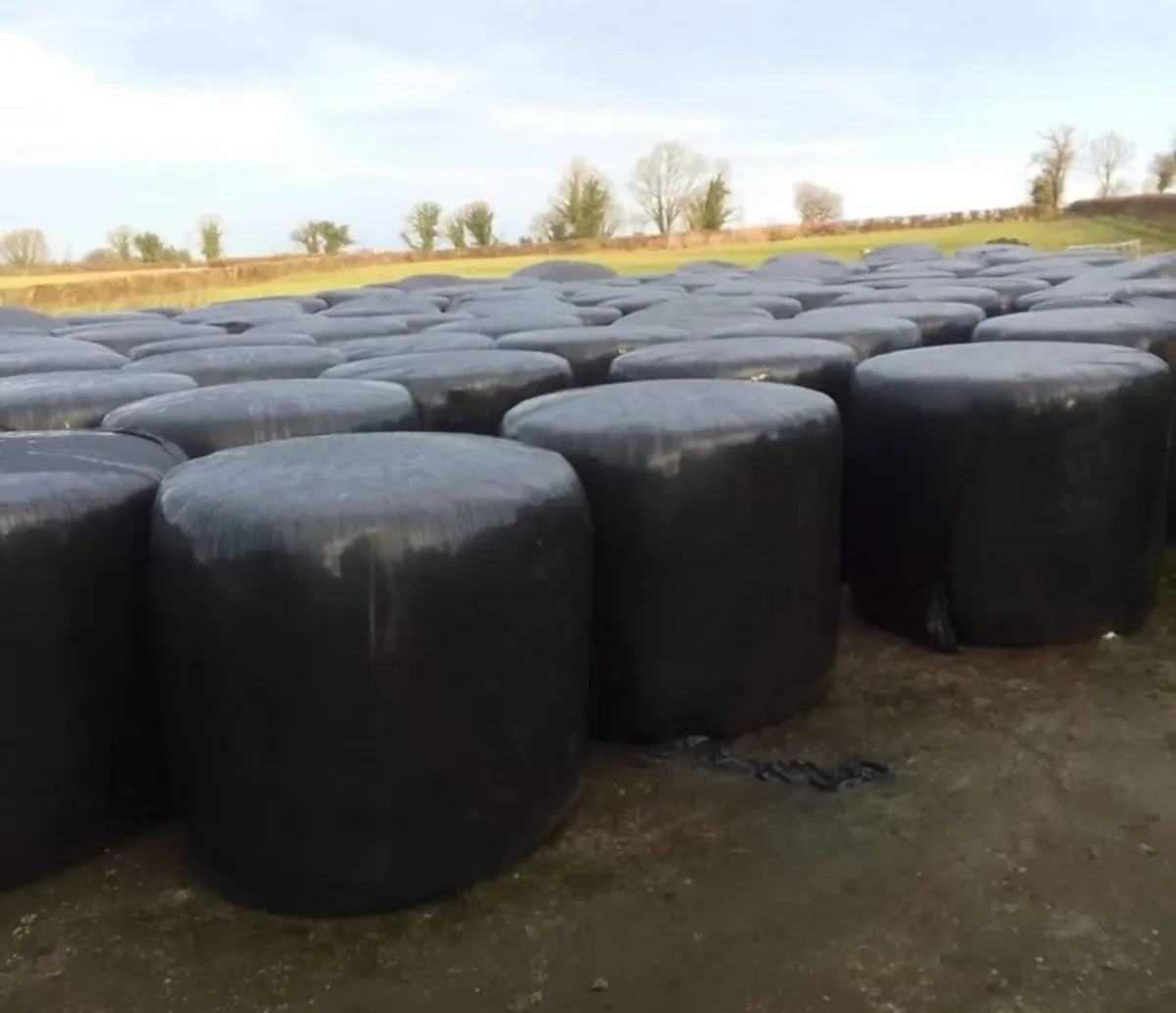 12 silage bales