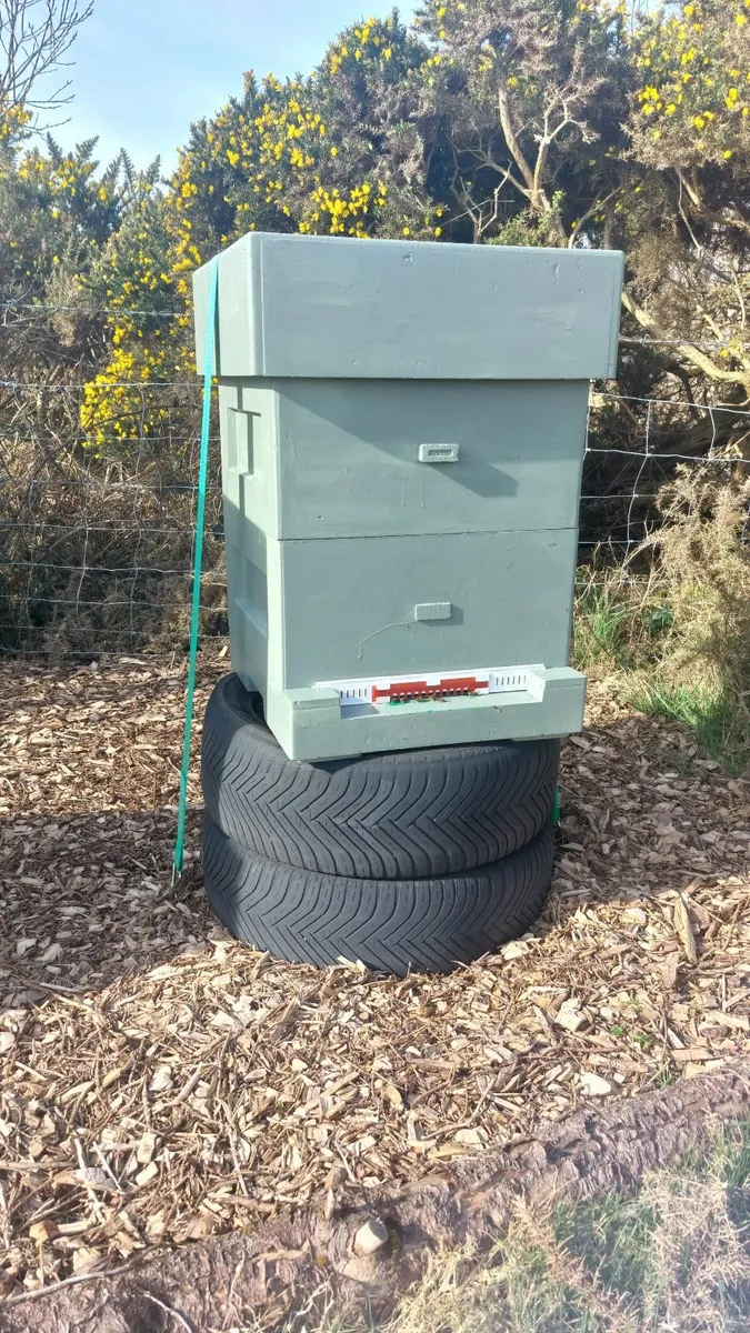 Complete Hive for Beginner/Experienced Beekeeper - Image 4