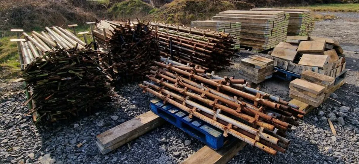 Scaffold - Image 1