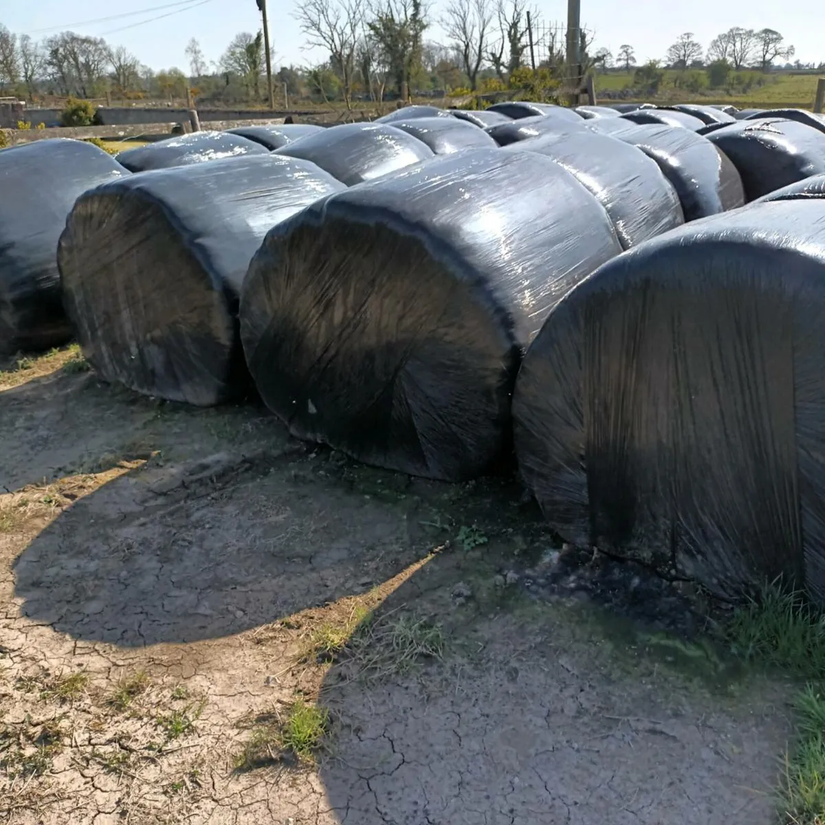 Hay and Silage Bales - Image 2