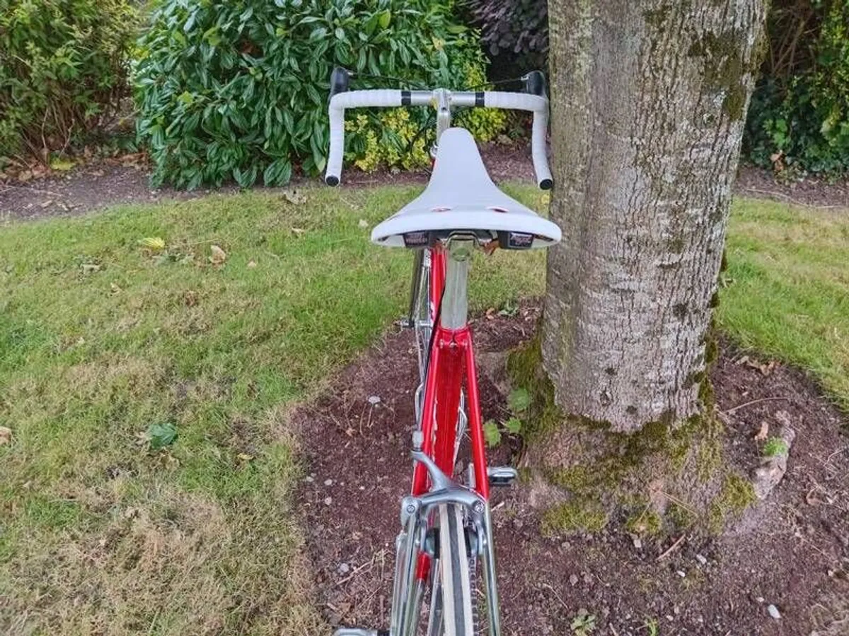 Cougar road bike 9.3kg 54 x 54 - Image 3