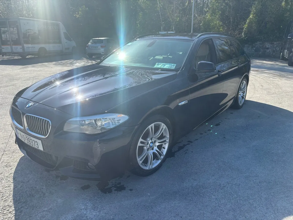 NCT 06/26 2011 520d Msport  low km chain done - Image 3