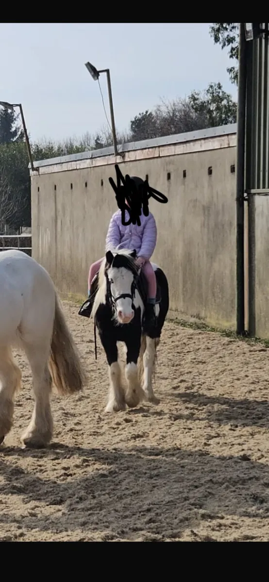 Smashing pony - Image 2