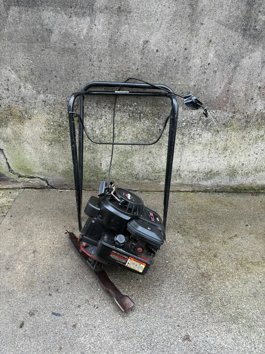 Mower engine . Classic Briggs and Stratton - Image 3