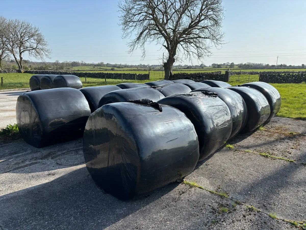 Silage bales. Round bales. Wrapped silage. - Image 1