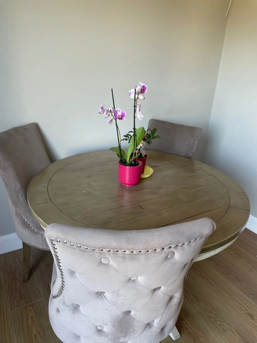 Table - Image 1