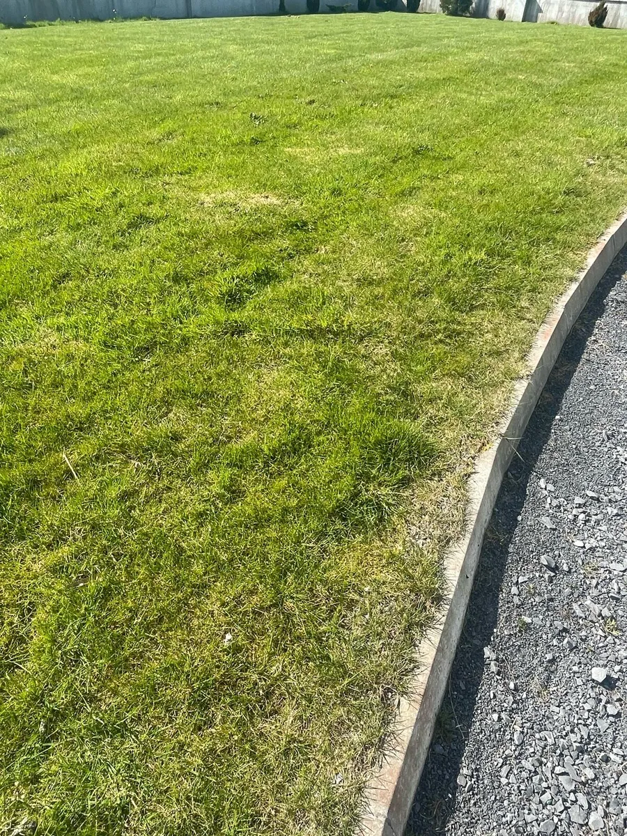 Lawn cutting - Image 1
