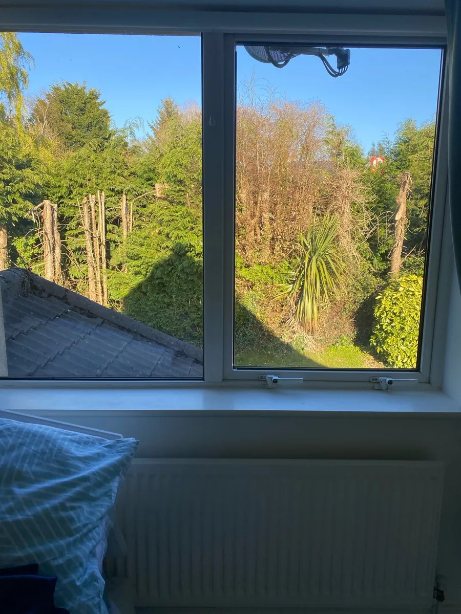 2 double glazed windows - Image 3