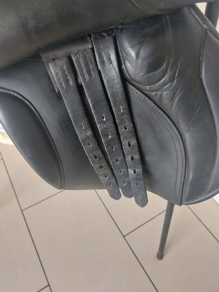 Black Falcon Saddle - Image 3
