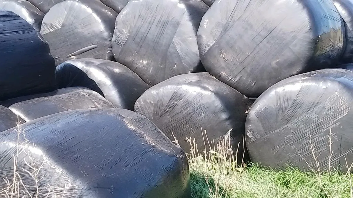 Silage Bales for sale