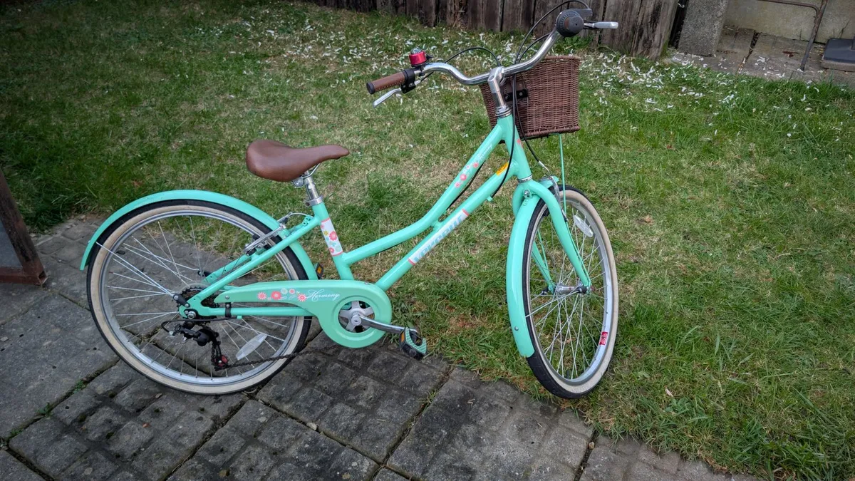Girls bikes 24" - Image 3