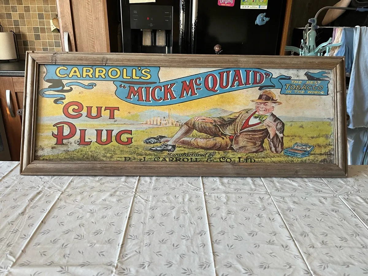 Carroll’s Mick McQuaid Picture - Image 1