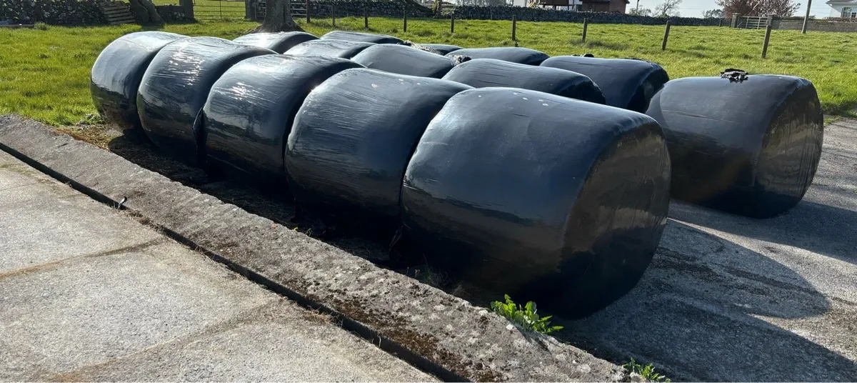 Silage bales. Round bales. Wrapped silage. - Image 2