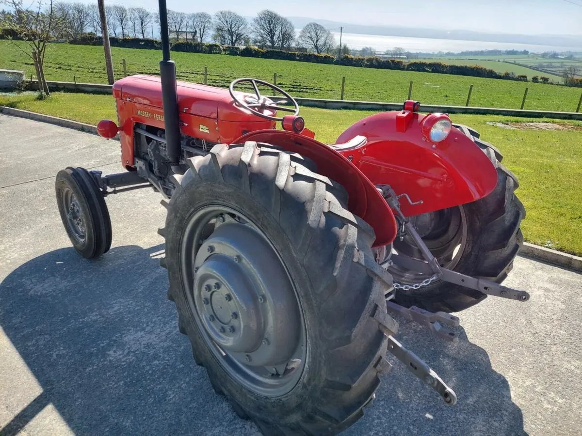 Massey ferguson - Image 1