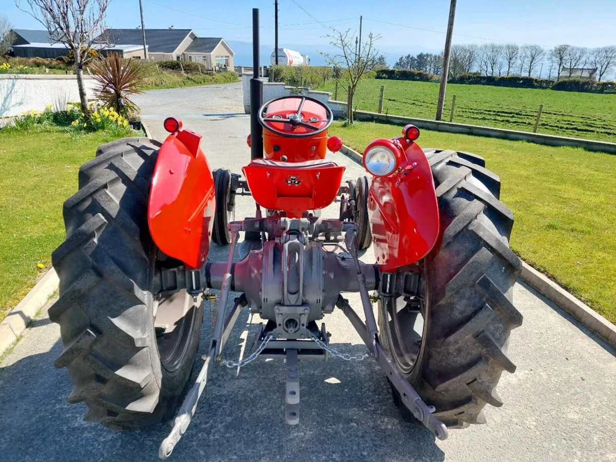Massey ferguson - Image 2