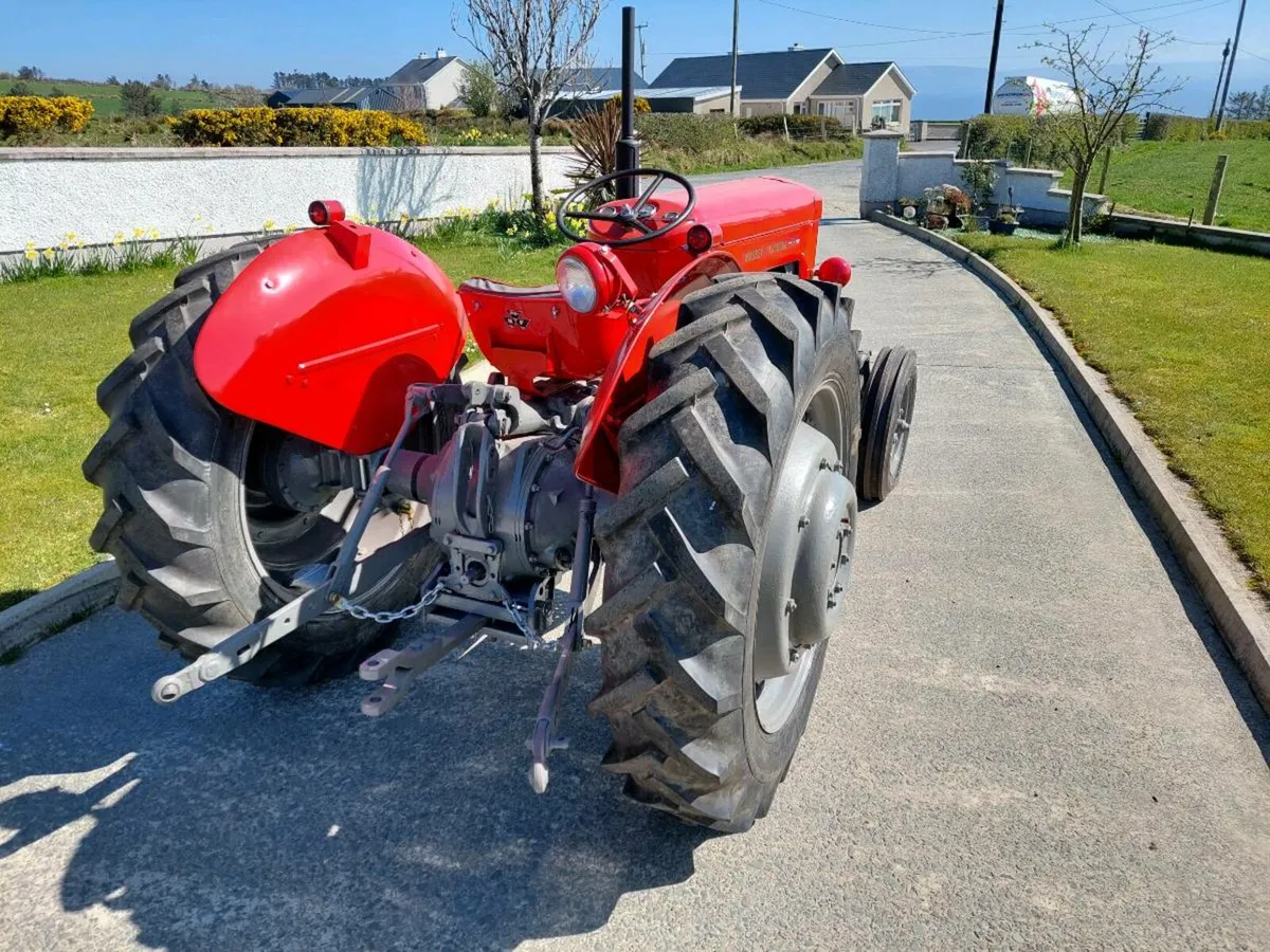 Massey ferguson - Image 3