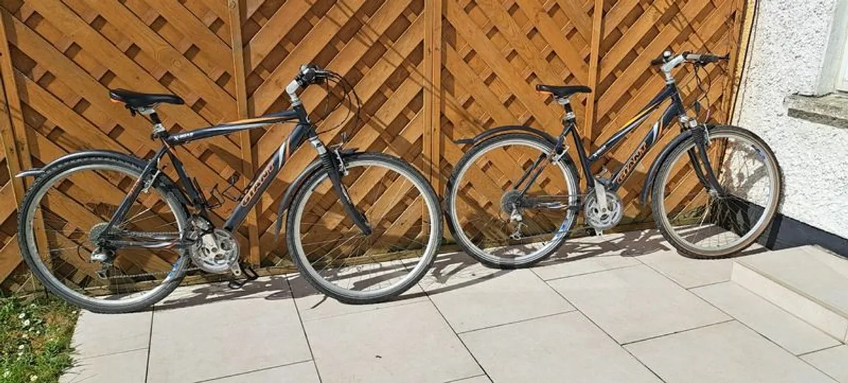 Ladies & Gents Bikes - Image 1