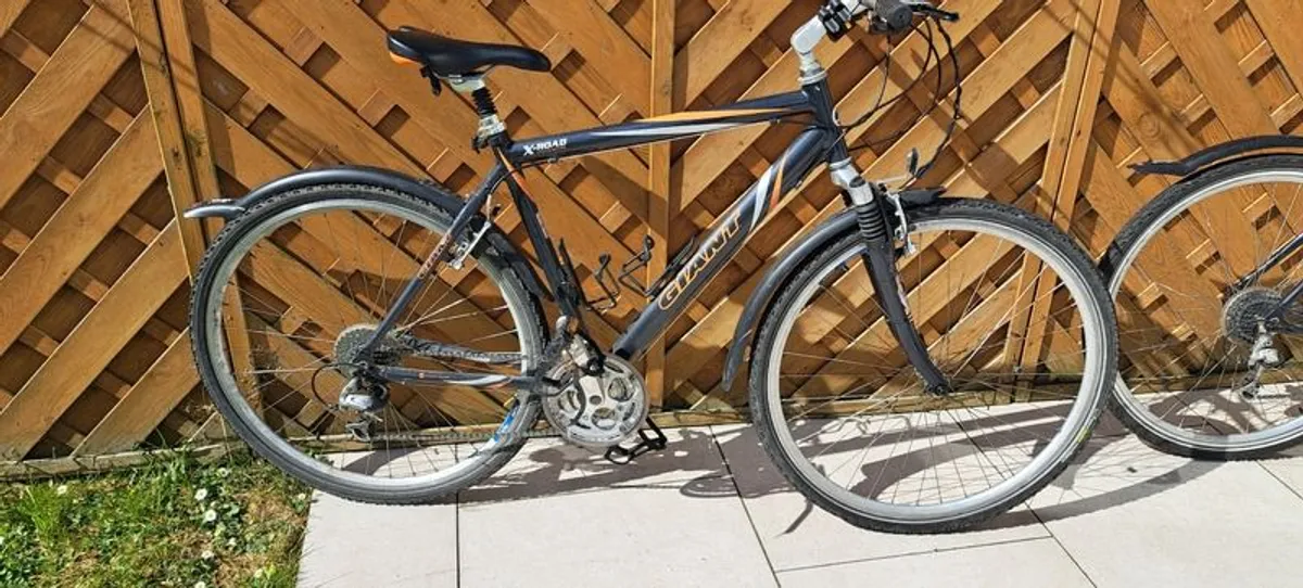 Ladies & Gents Bikes - Image 2
